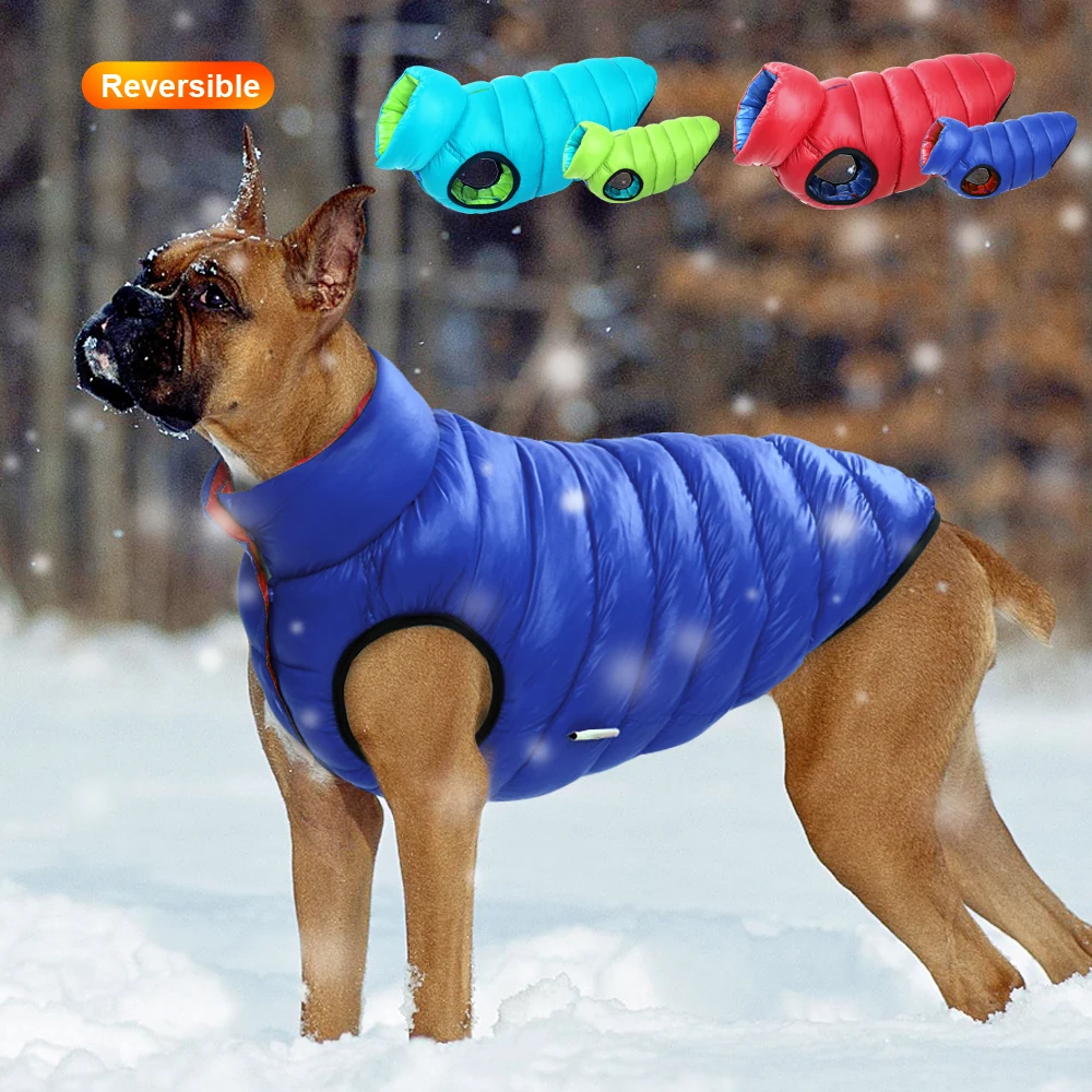 ฤดูหนาวที่อบอุ่นเสื้อผ้าสุนัขเ - Winter Clothing Layers บทวิจารณ์และราคา