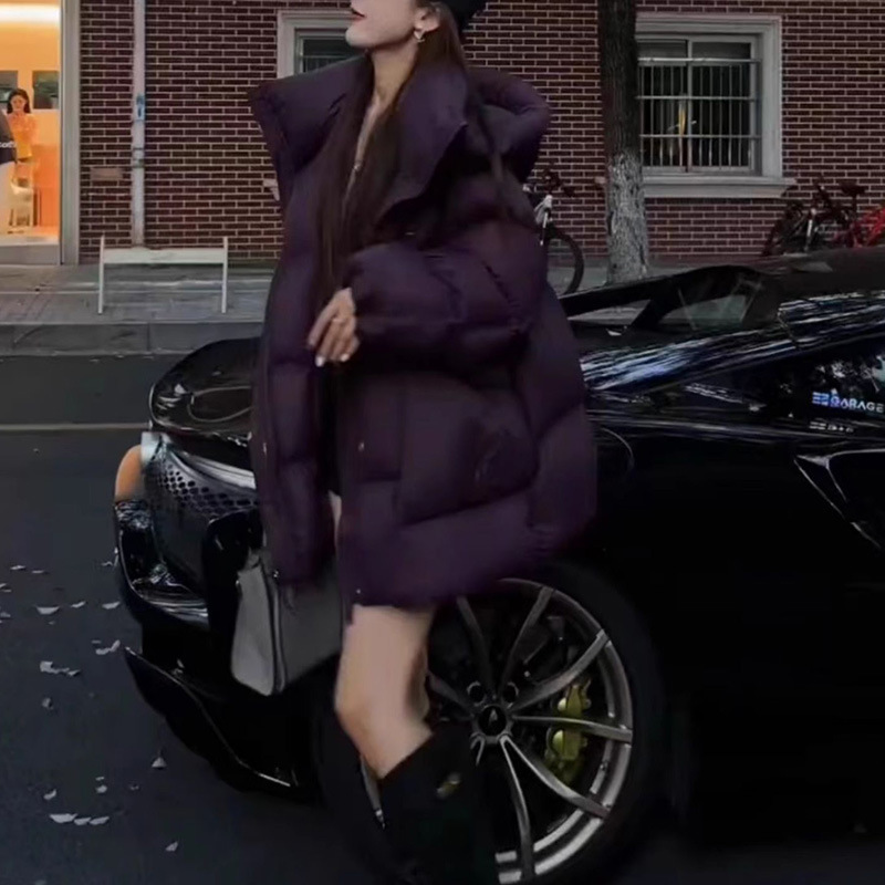 เสื้อแจ็คเก็ตดาวน์ผู้หญิง รุ่น - Winter Clothing Colors 2026 บทวิจารณ์และราคา
